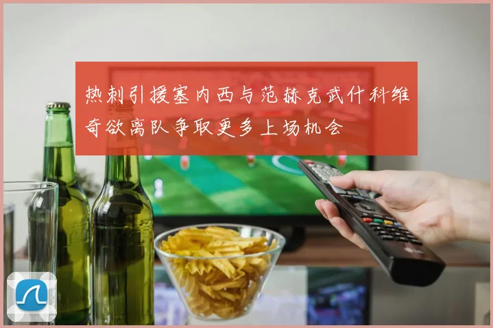 热刺引援塞内西与范赫克武什科维奇欲离队争取更多上场机会