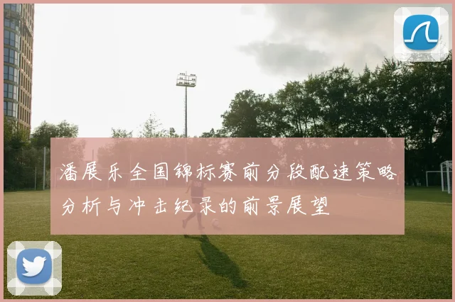 潘展乐全国锦标赛前分段配速策略分析与冲击纪录的前景展望
