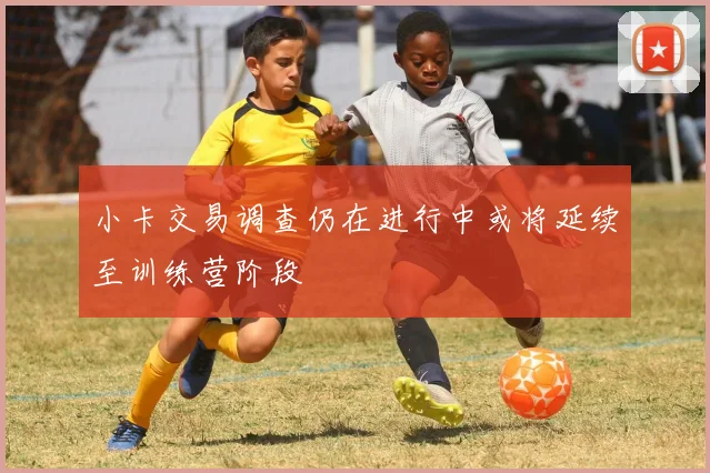 小卡交易调查仍在进行中或将延续至训练营阶段